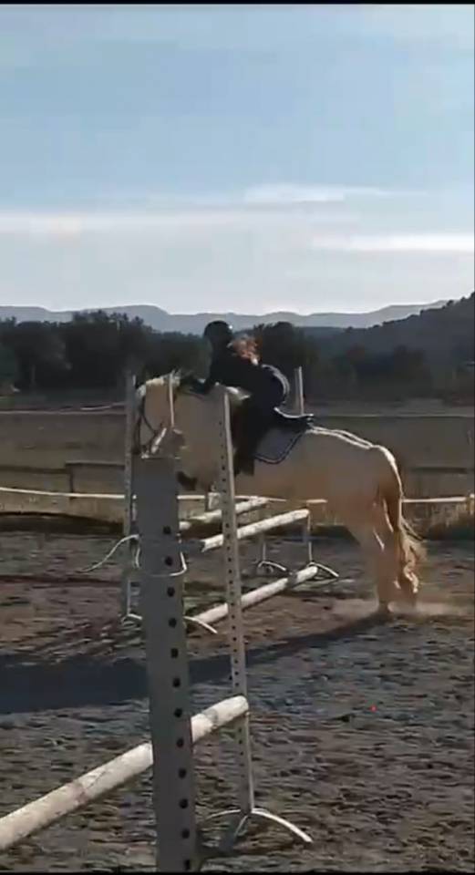 Centre équestre Ecurie de Collombe