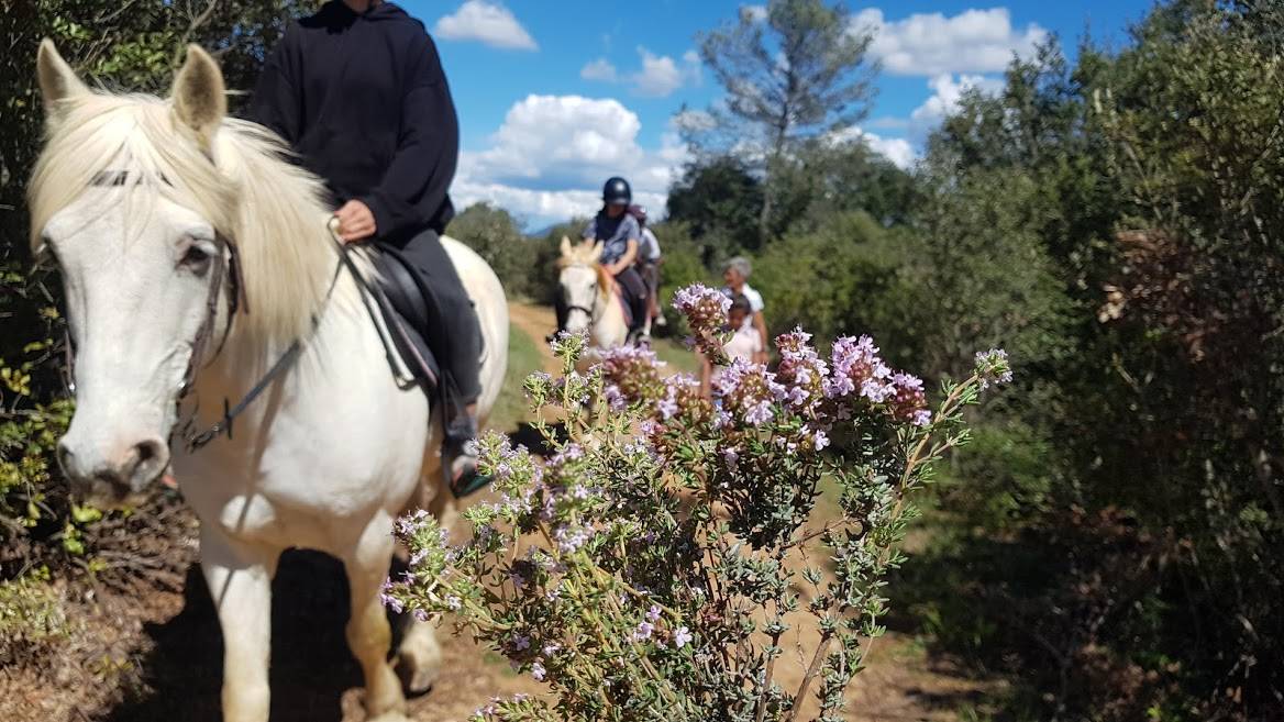 Centre équestre Ecurie de Collombe