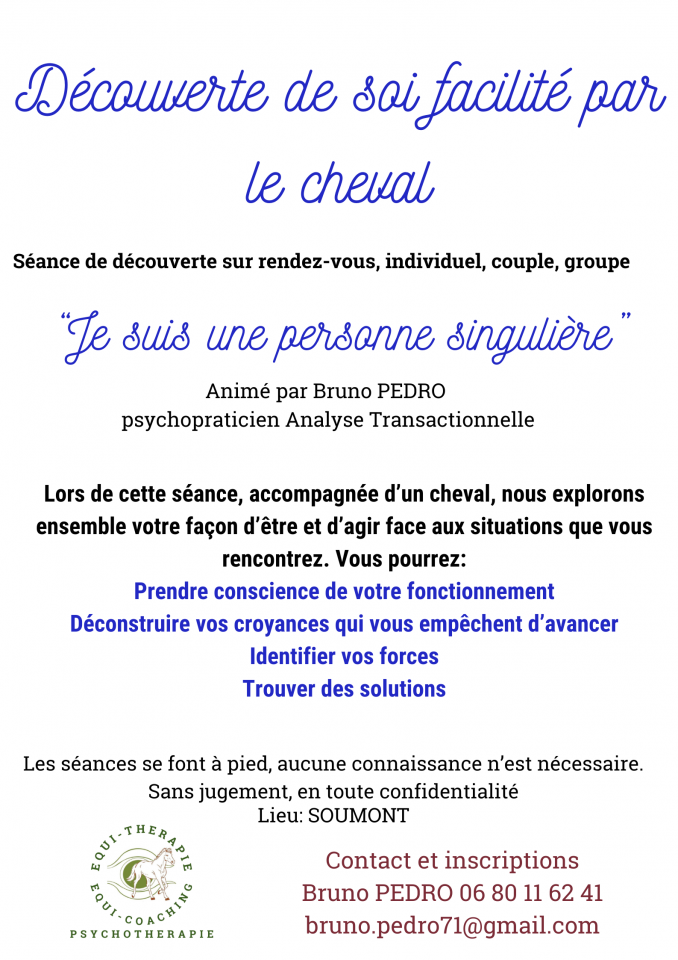 EQUITATION ETHOLOGIE EQUICOACHING