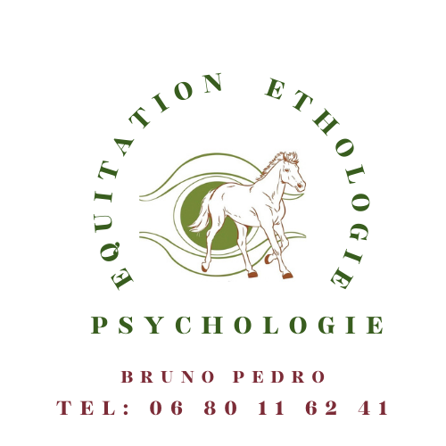 EQUITATION ETHOLOGIE EQUICOACHING