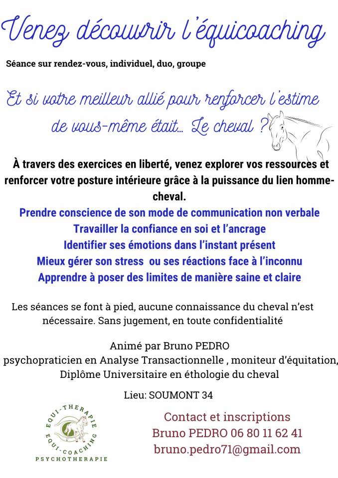 EQUITATION ETHOLOGIE EQUICOACHING