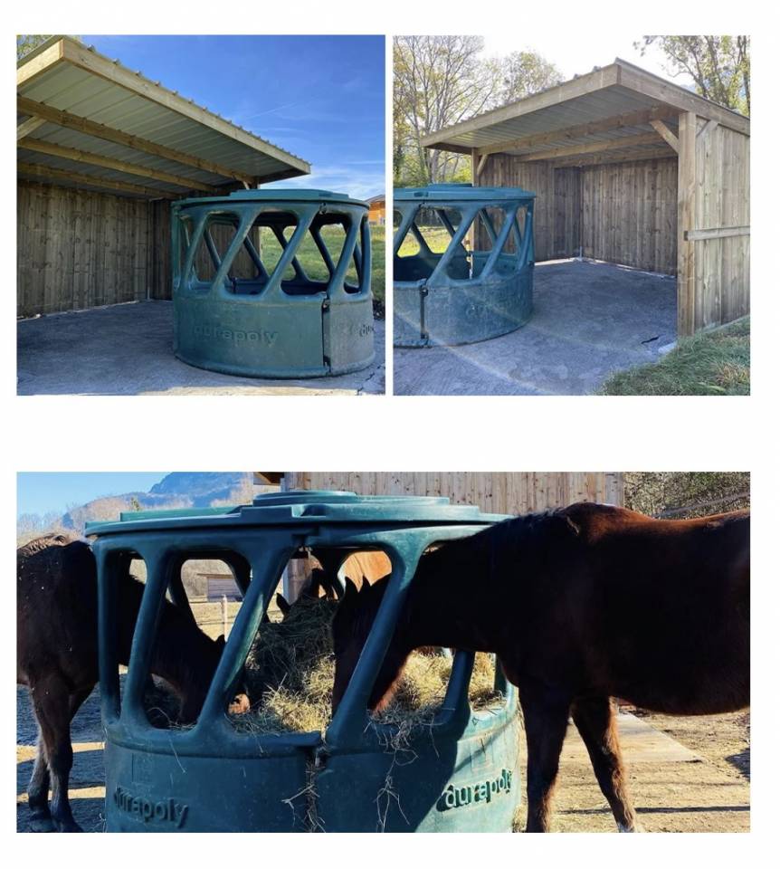 Pension retraite / poulains - Les prés du château (74)