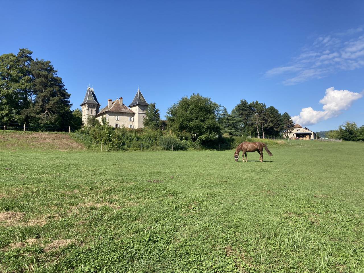 Pension retraite / poulains - Les prés du château (74)