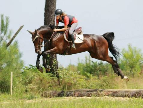 Se former dans les Landes avec Form'Actions Equestre !