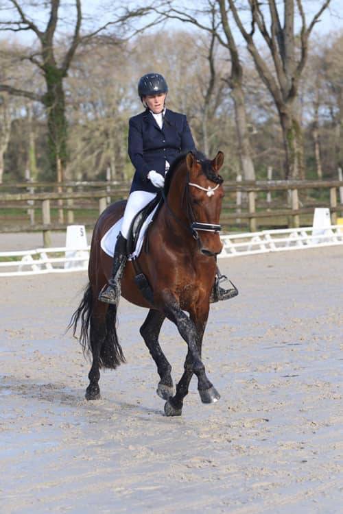 Vanidoso Vaillant - Saillies Pure Race Espagnole