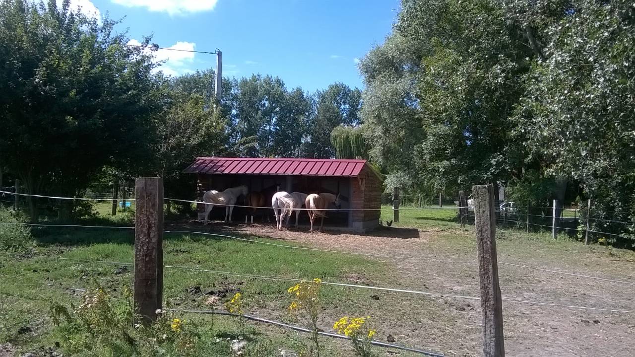 Ecurie de Muchembled