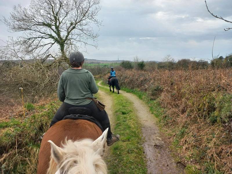 Balades et randonnées à cheval en Bretagne