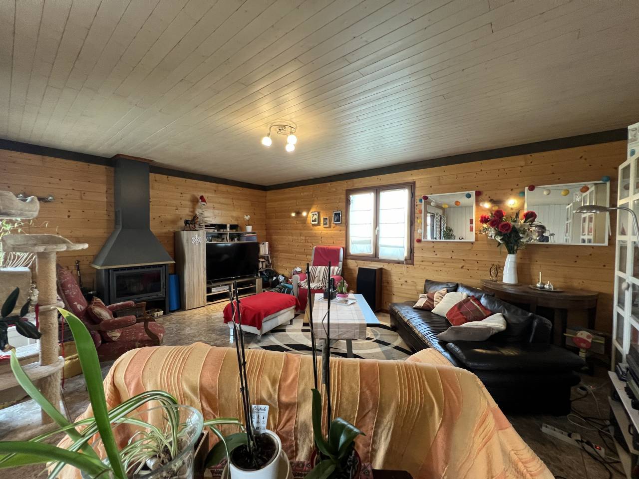 Proche de Pompadour, Cit&eacute; du Cheval,