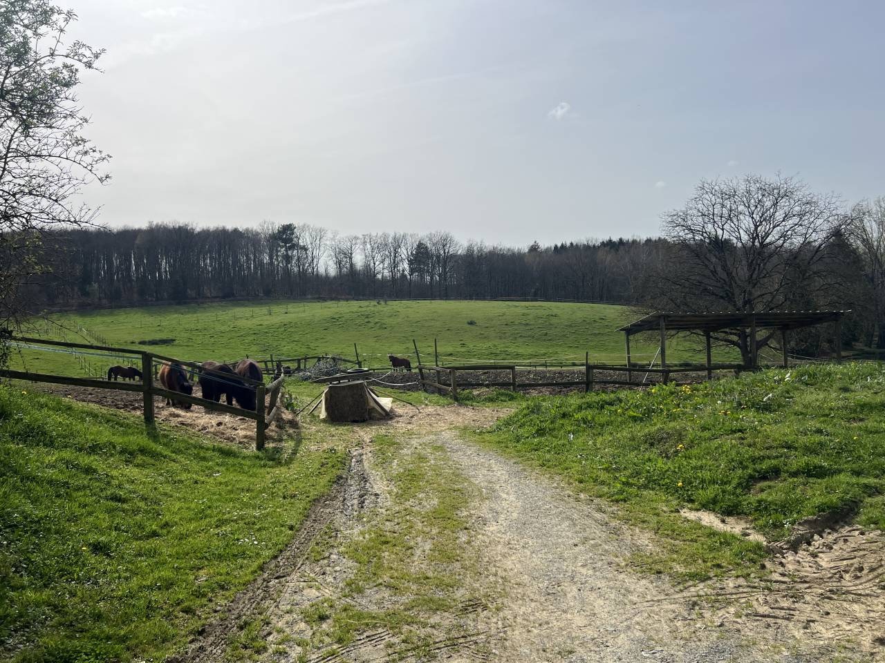 Proche de Pompadour, Cit&eacute; du Cheval,
