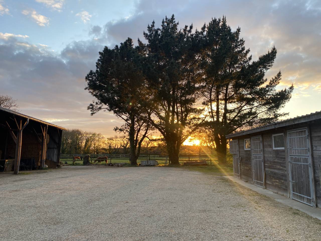 Pensions chevaux - poneys