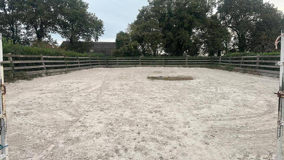 Pensions chevaux - poneys