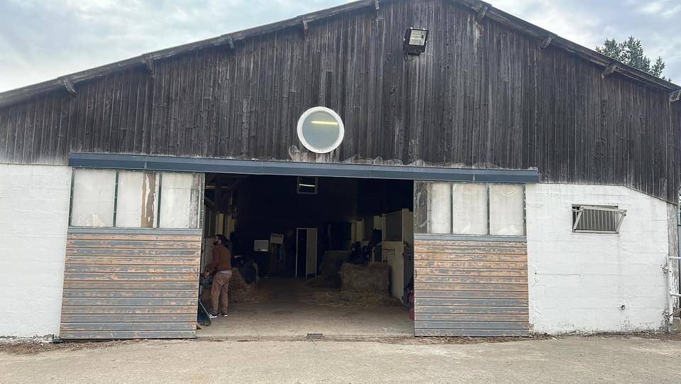 Pensions chevaux - poneys