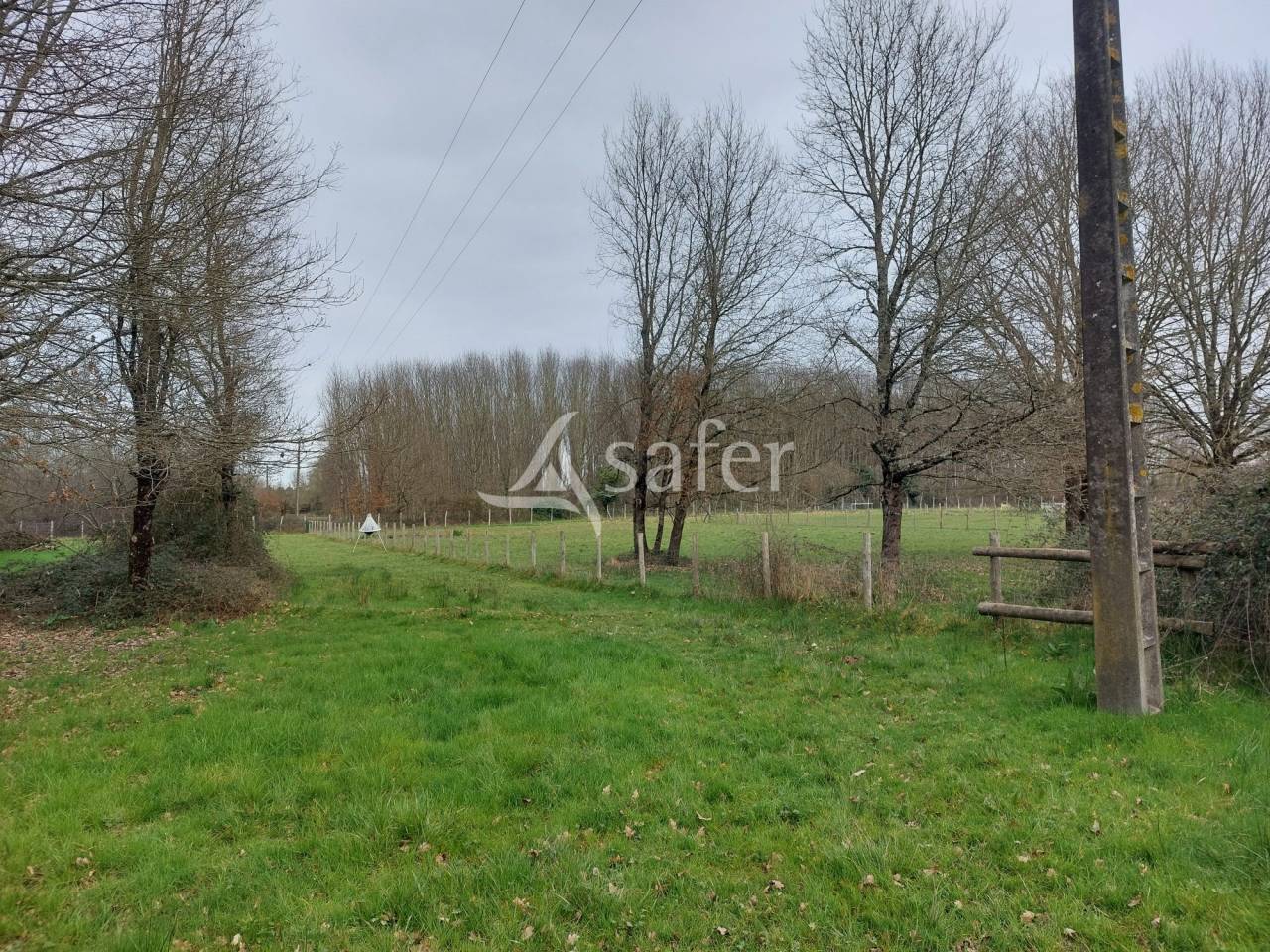 858876_1722825701_0006.jpg