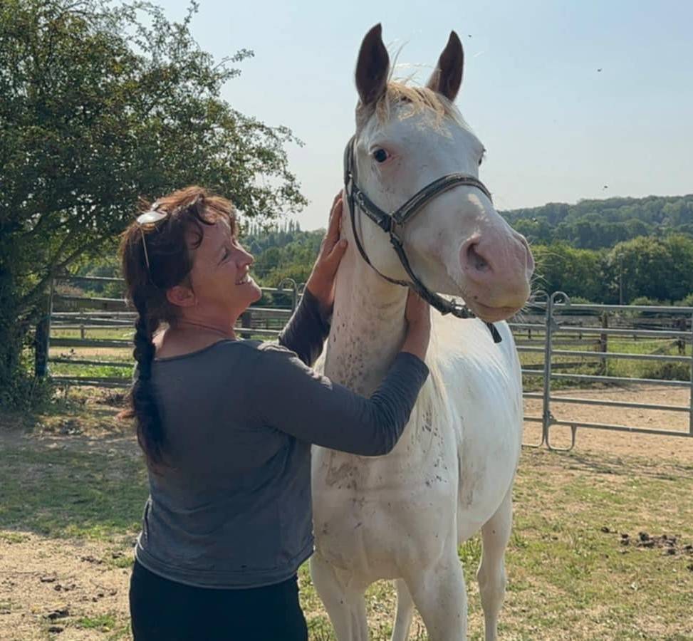 Anglo-Arabe DW34 + nd1 + DW20/22