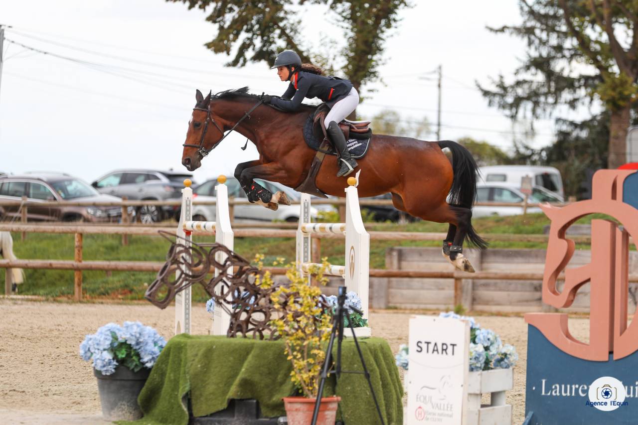 Nouvelle &Eacute;curie propri&eacute;taire 