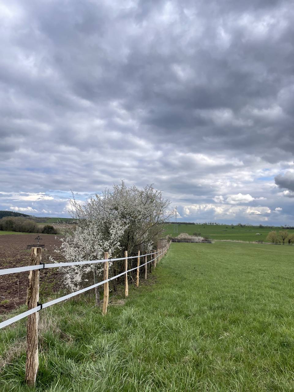 Pension Parc - Écurie des prés (57510 Ernestviller)