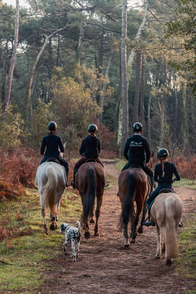 ECURIE DE PROPRI&Eacute;TAIRES - Club Hippique