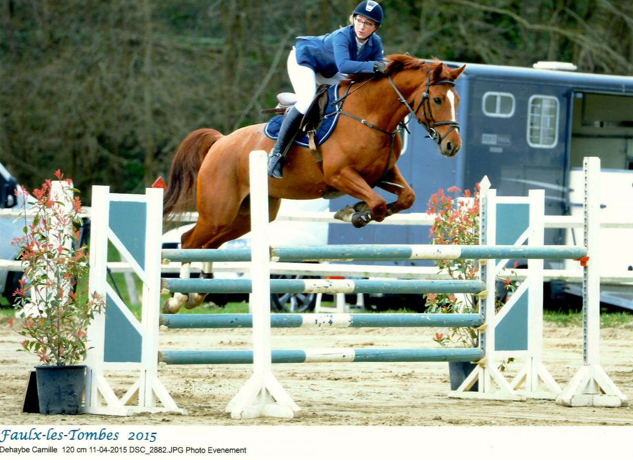 Prometteur fils de Kassander V't Roosakker