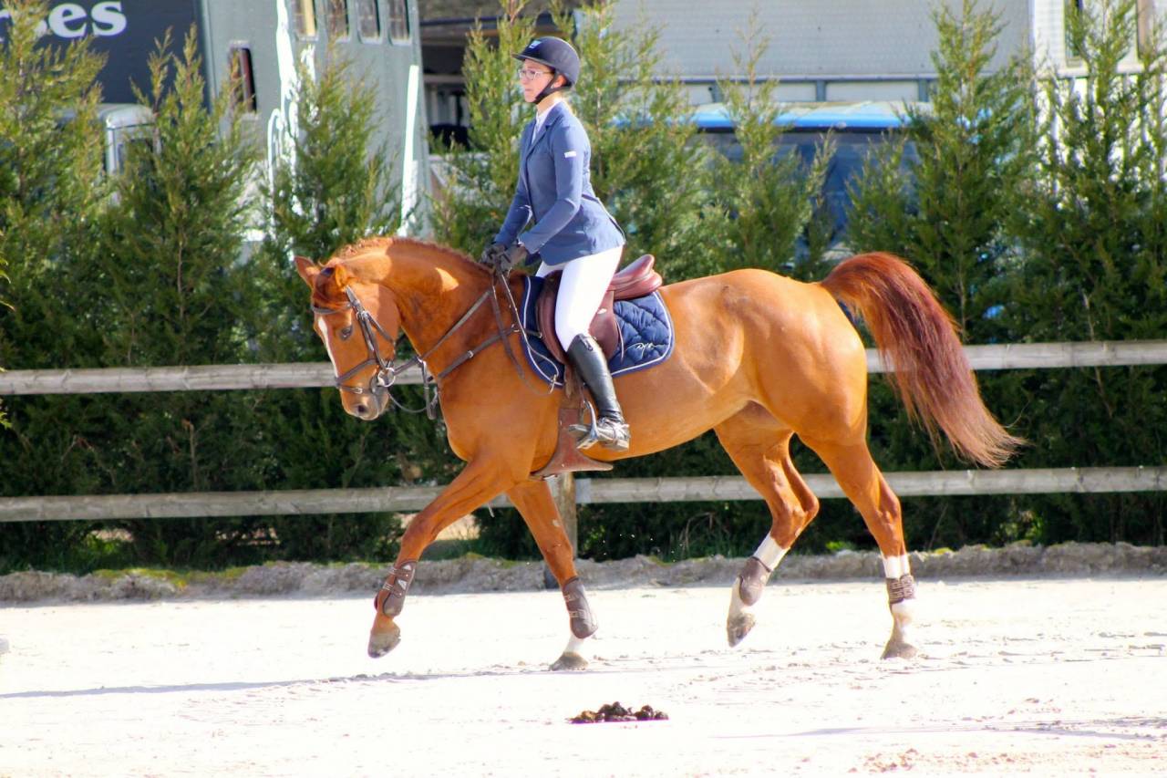 Prometteur fils de Kassander V't Roosakker