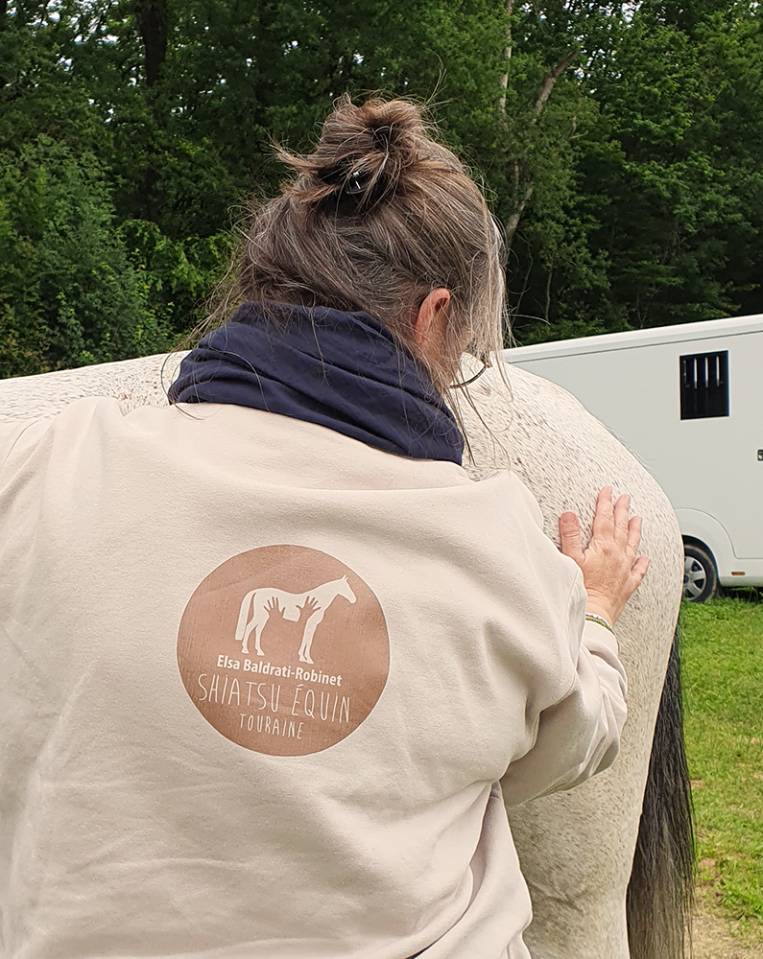 Shiatsu équin & humain