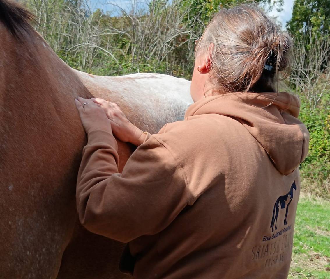 Shiatsu équin & humain