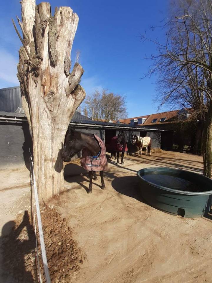 Pension Fournes en weppes prox Lille 