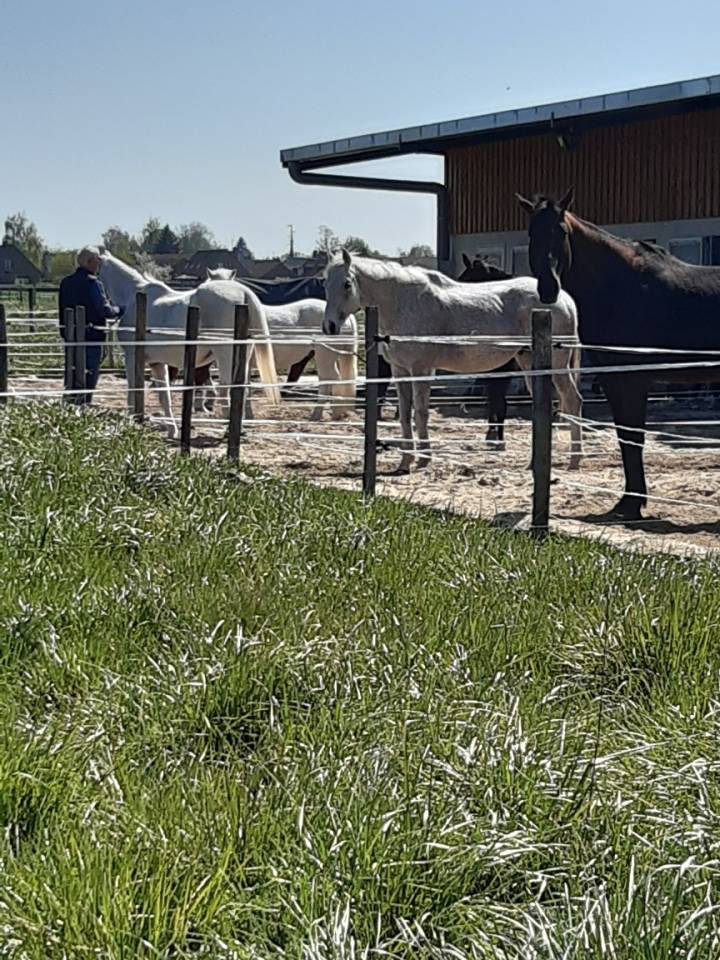 Pension Fournes en weppes prox Lille 