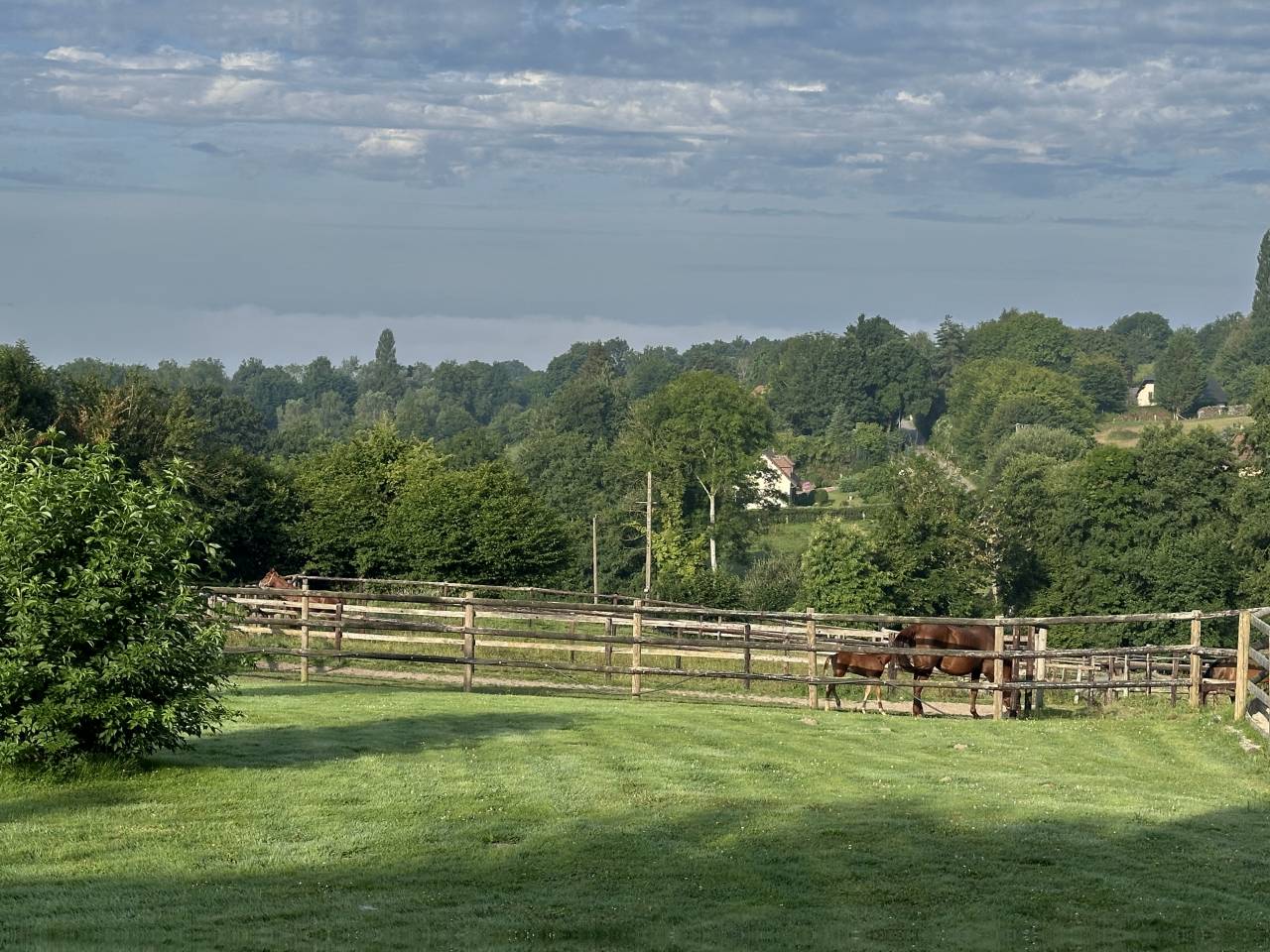 Pensions, Coaching, Valorisation, Bien être