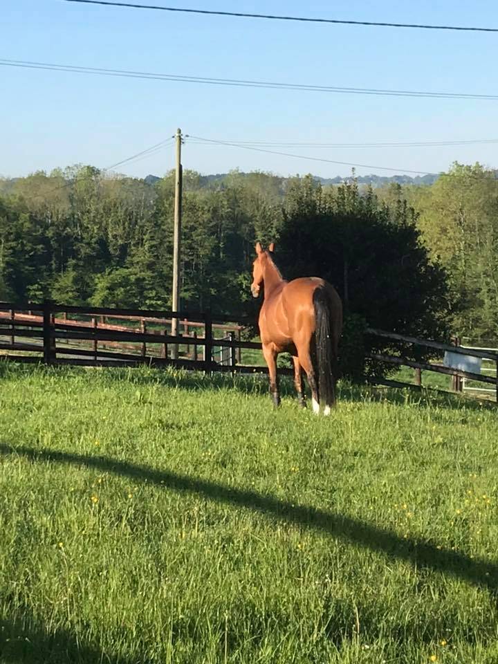 Pensions, Coaching, Valorisation, Bien être