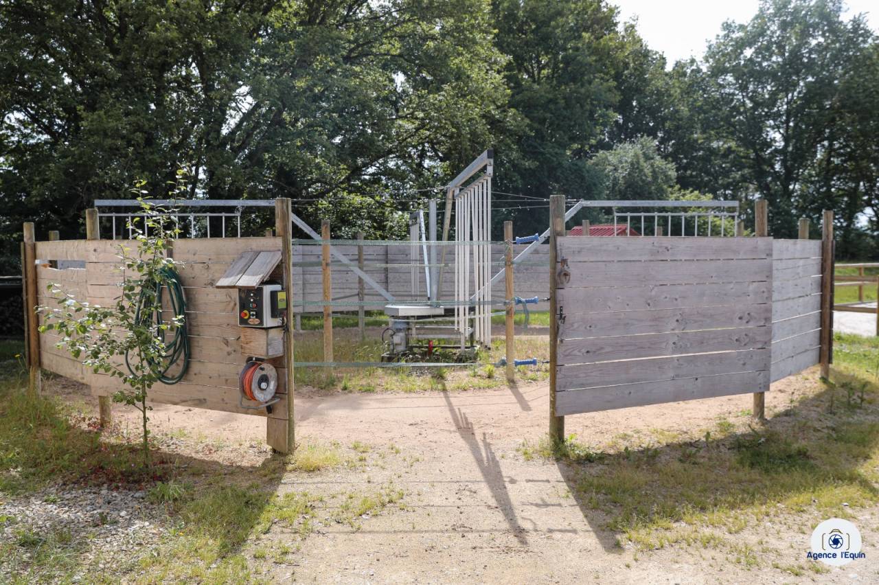 Pension, débourrage, valorisation et coaching