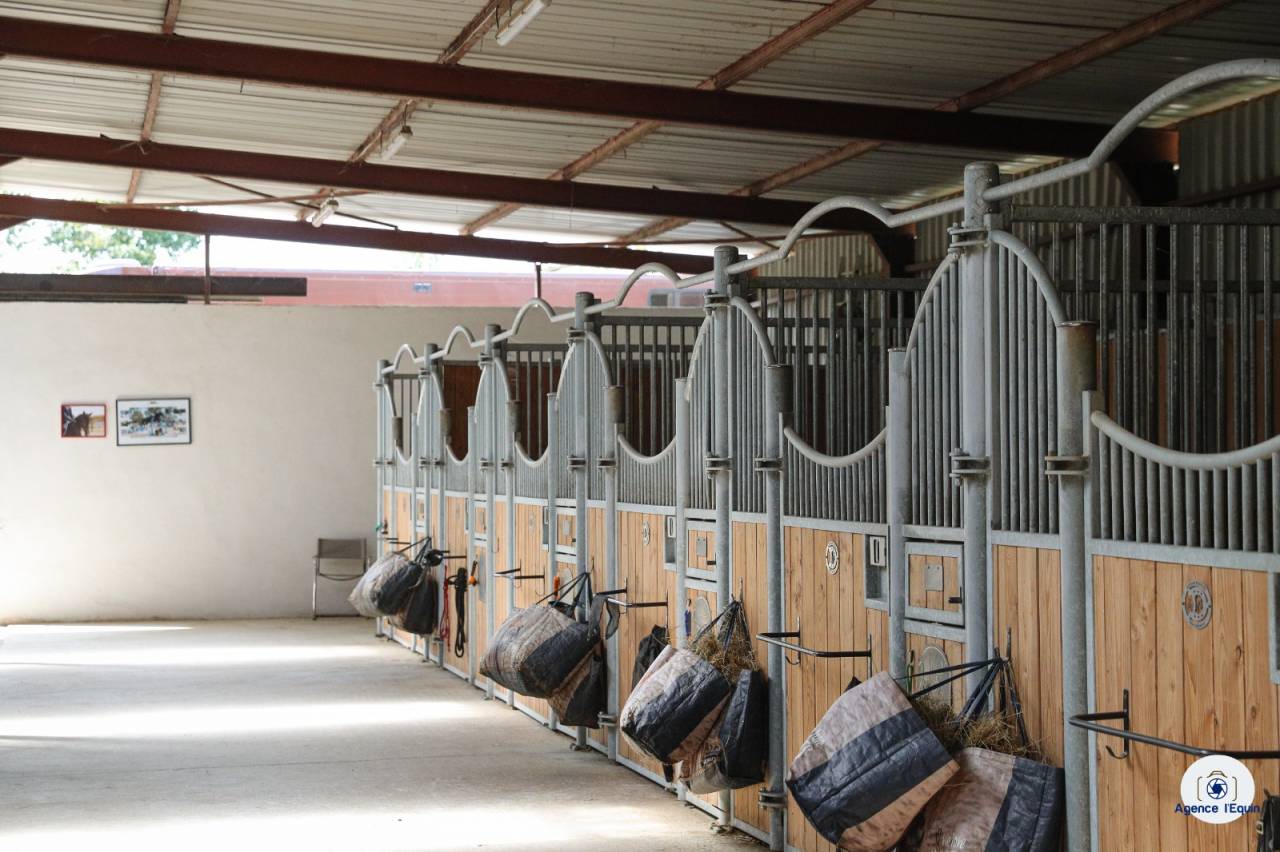 Pension, débourrage, valorisation et coaching