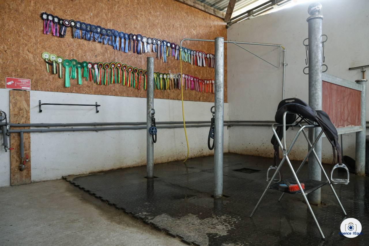 Pension, débourrage, valorisation et coaching