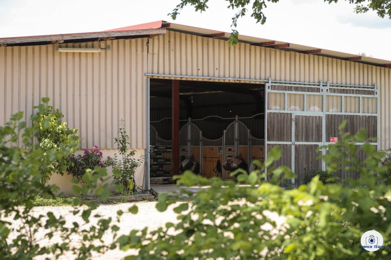 Pension, débourrage, valorisation et coaching