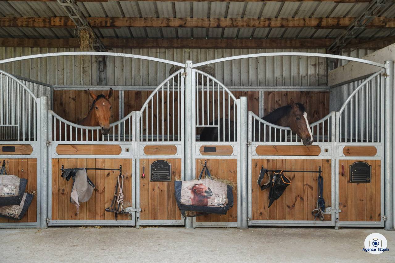 Pension, débourrage, valorisation et coaching