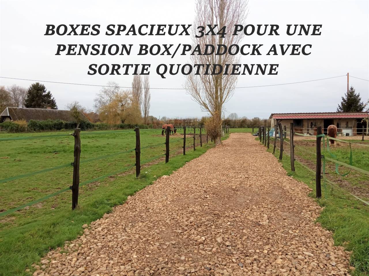 ECURIE DE GOUTTIERES