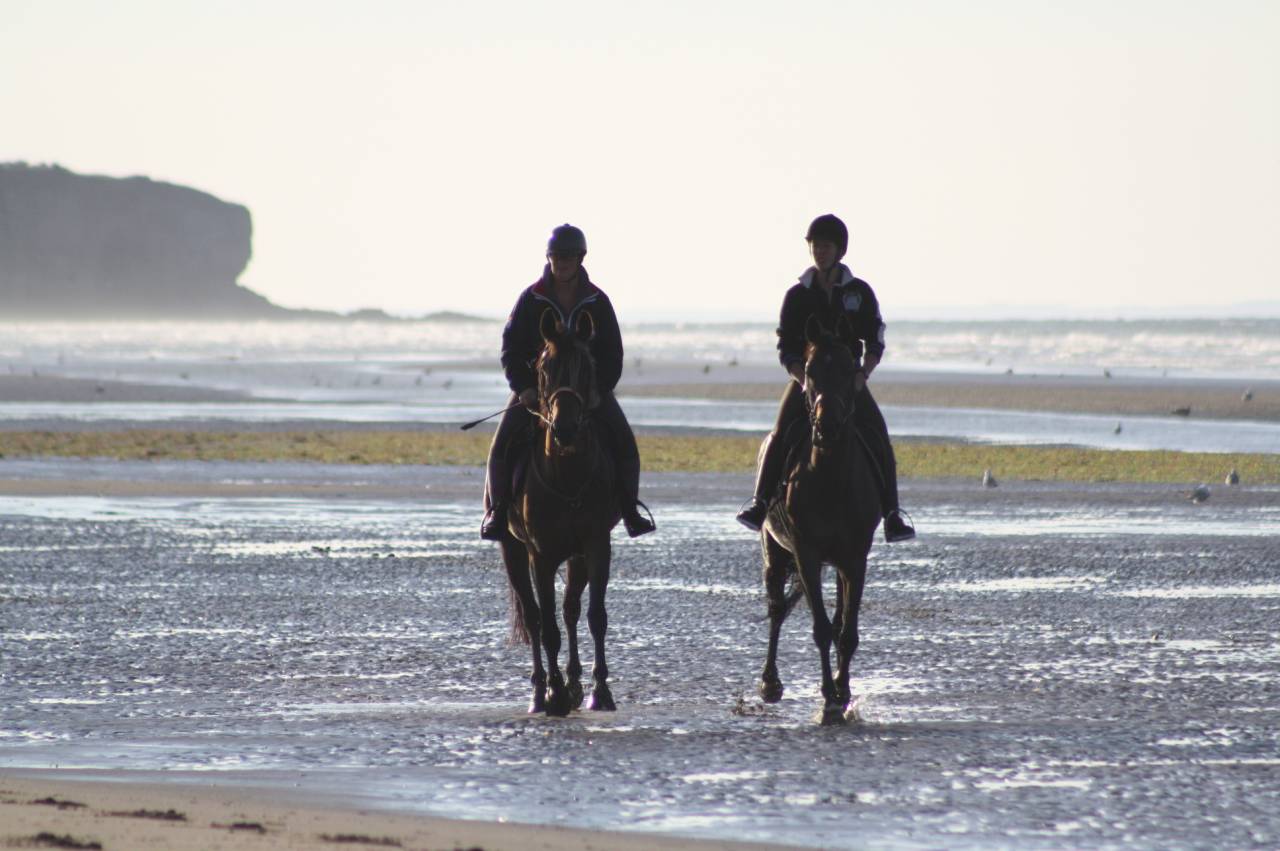 SEJOUR EQUITATION EN NORMANDIE