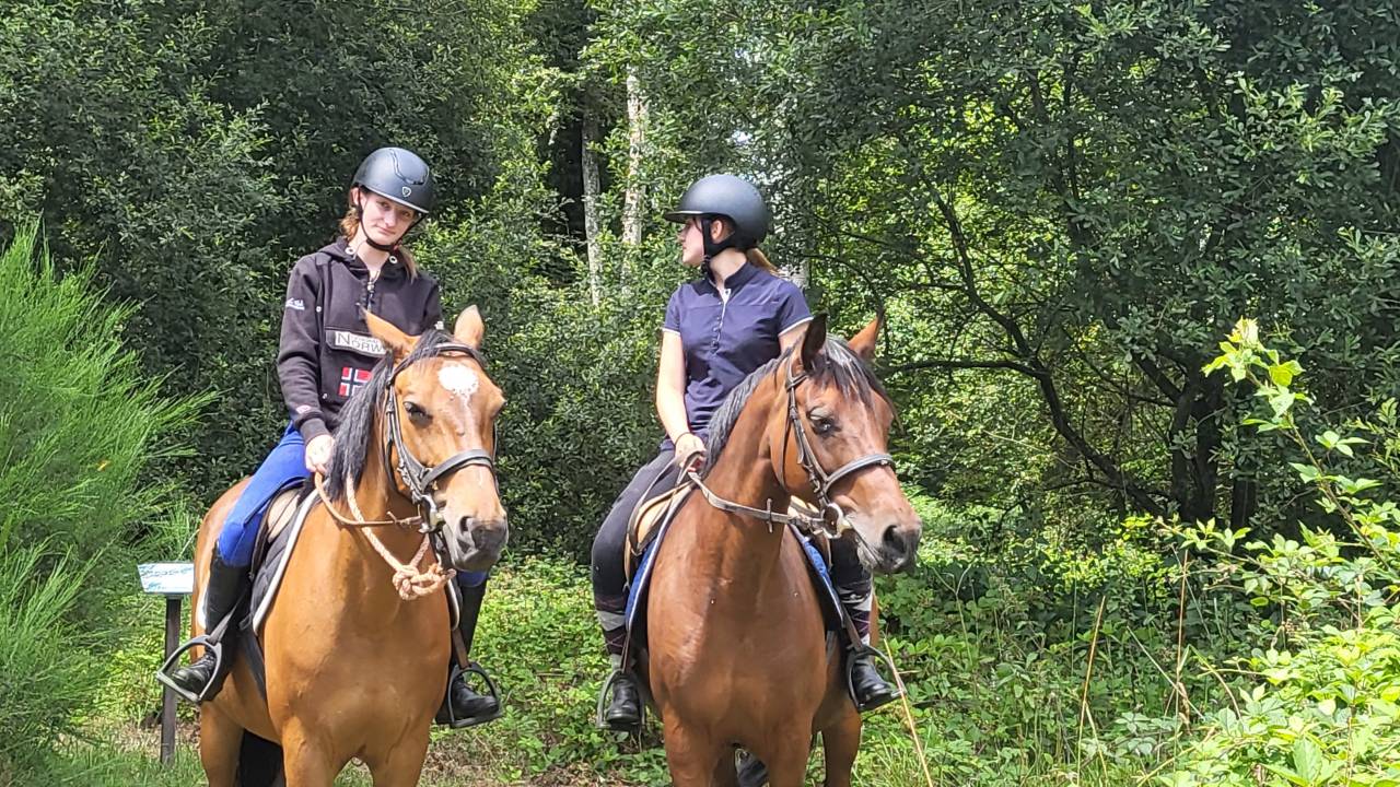 SEJOUR EQUITATION EN NORMANDIE