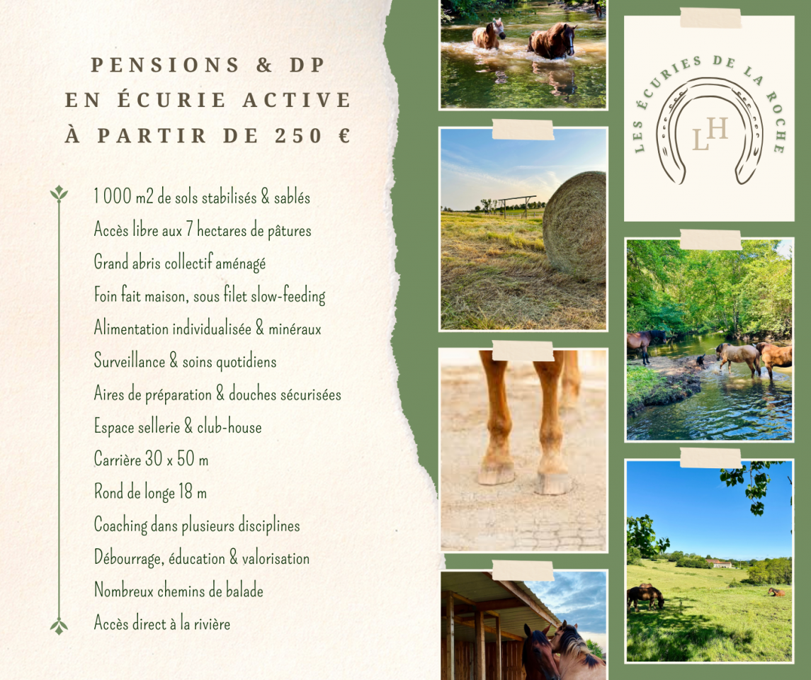 Les &eacute;curies de la Roche