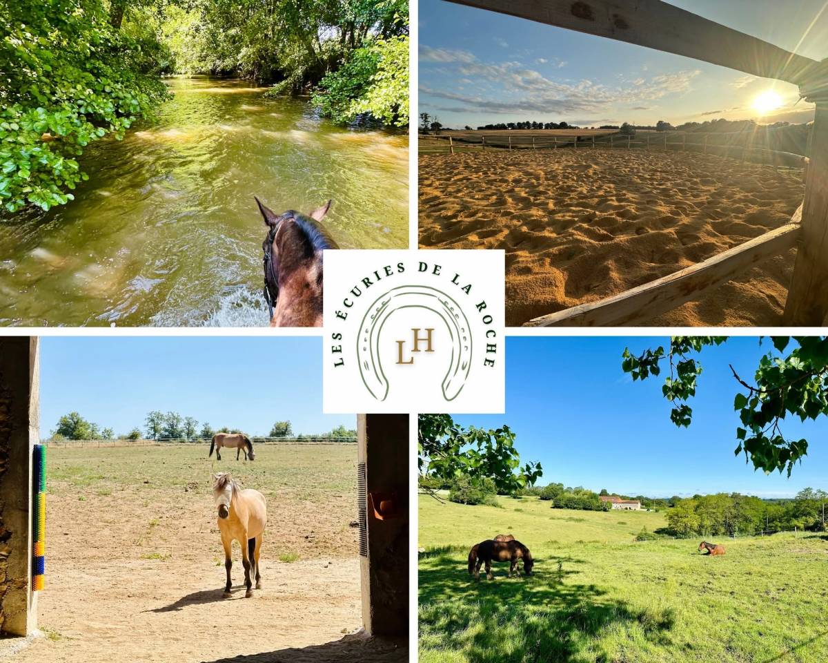 Les &eacute;curies de la Roche