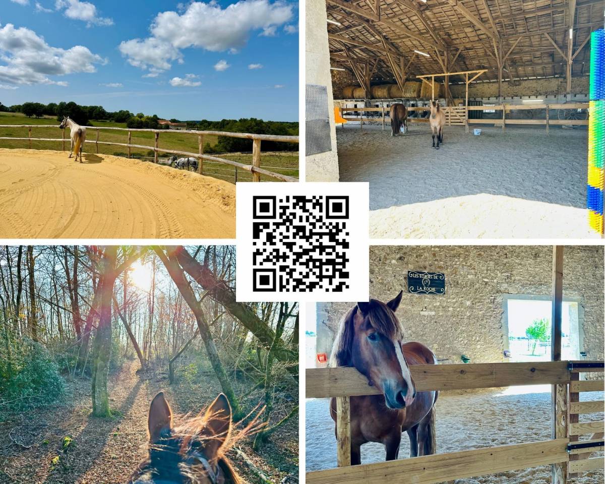 Les &eacute;curies de la Roche