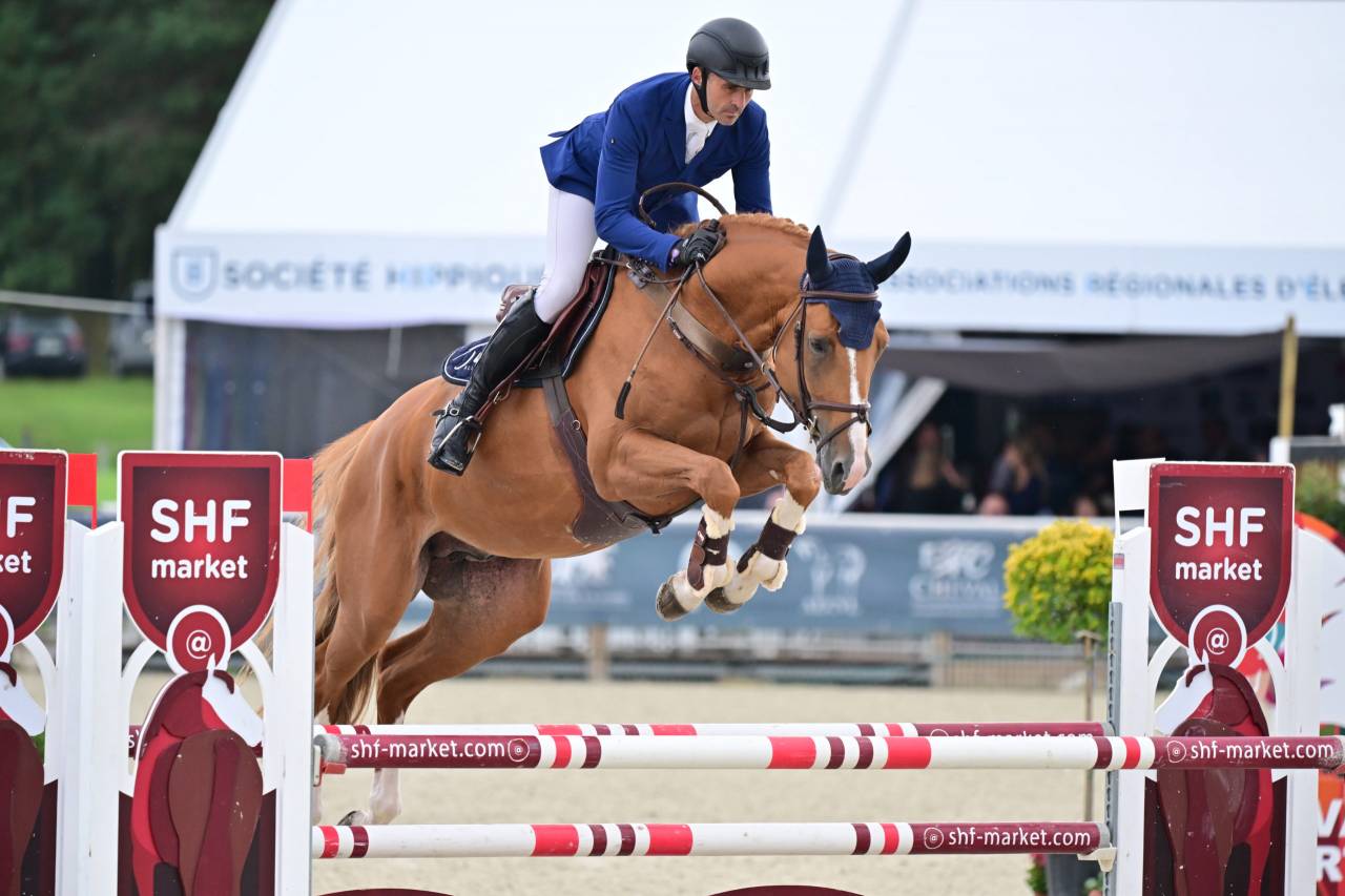 pouliche 1 an SF par ichaï de Reille 