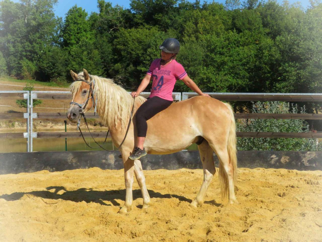 La méthode équine Impériale vous présente les chevaux..