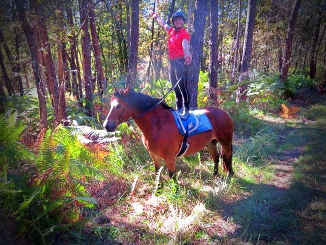 La méthode équine Impériale vous présente les chevaux..