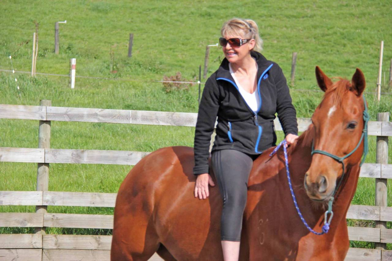 La méthode équine Impériale vous présente les chevaux..