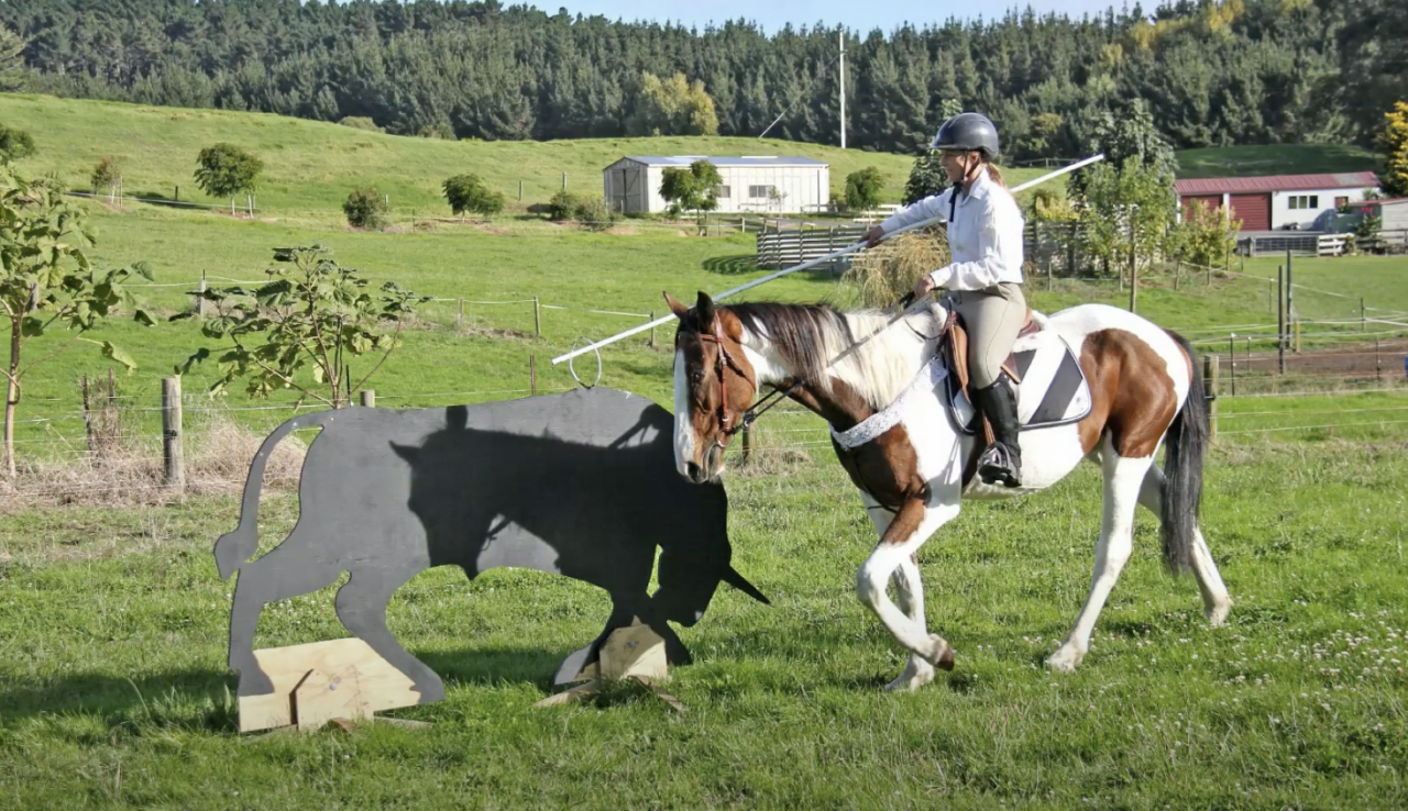 La méthode équine Impériale vous présente les chevaux..