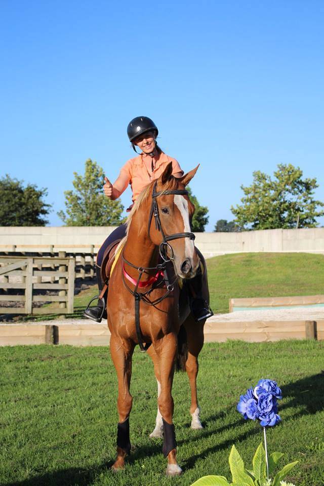 La méthode équine Impériale vous présente les chevaux..