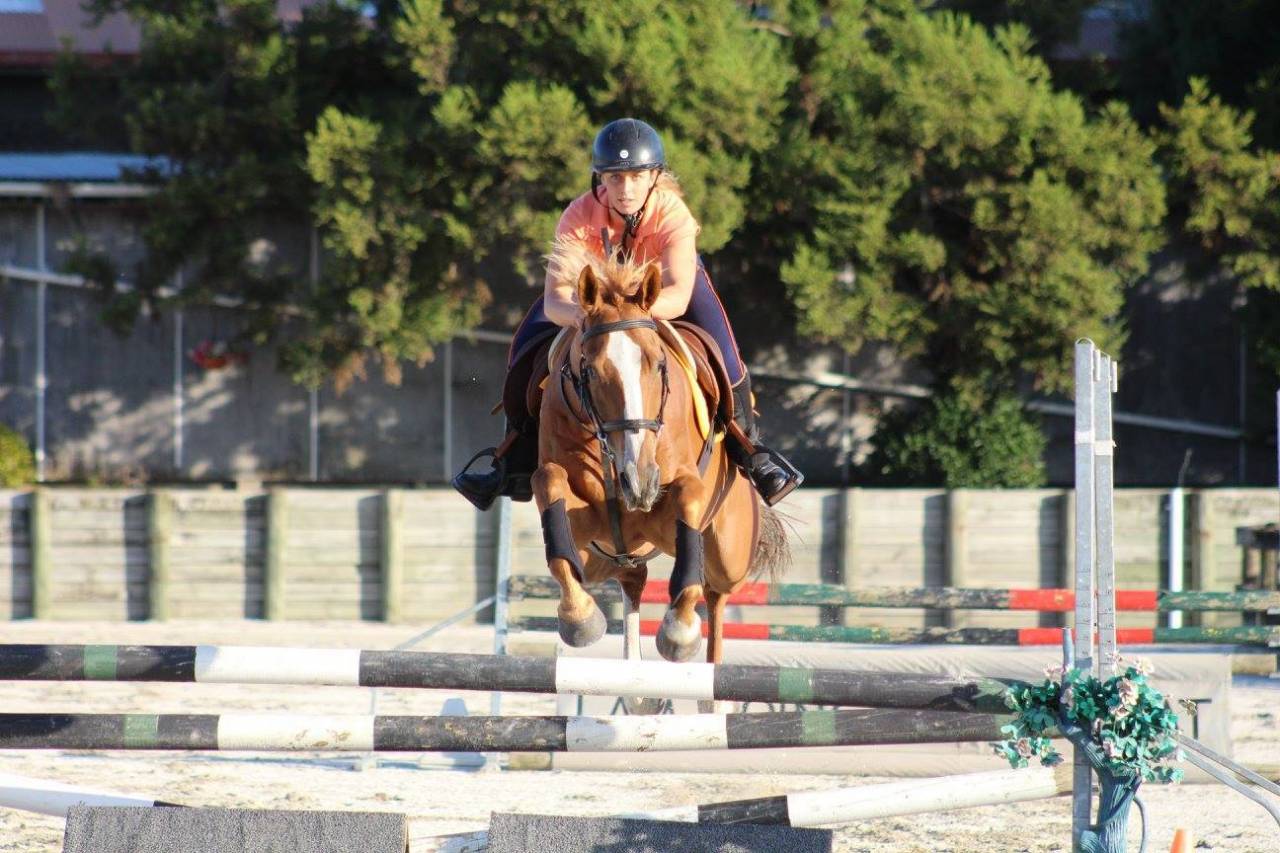La méthode équine Impériale vous présente les chevaux..