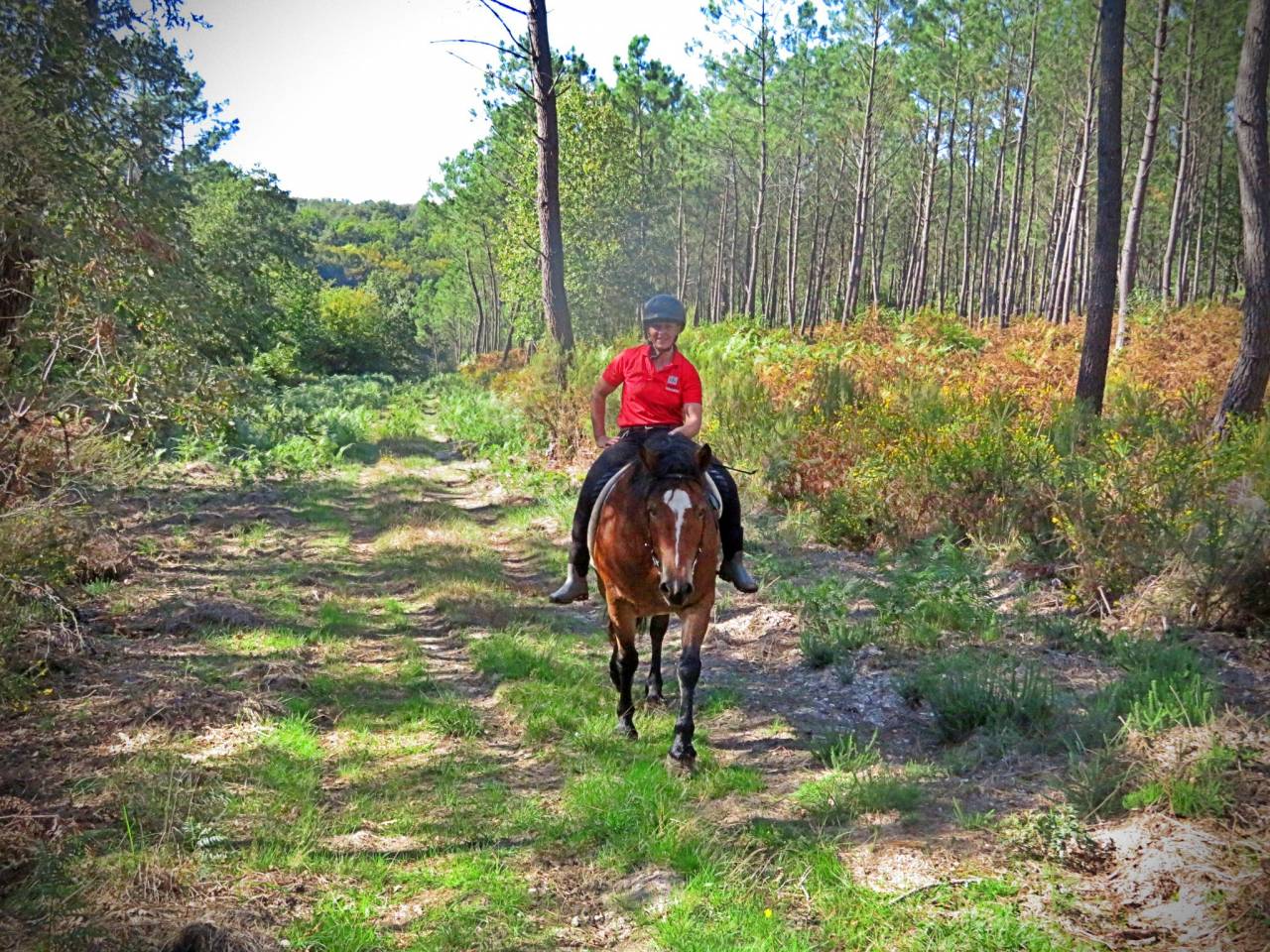 La m&eacute;thode &eacute;quine Imp&eacute;riale vous pr&eacute;sente les chevaux..