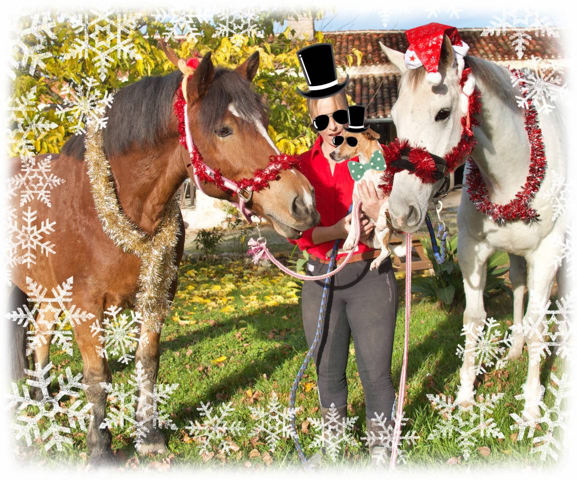 La m&eacute;thode &eacute;quine Imp&eacute;riale vous pr&eacute;sente les chevaux..
