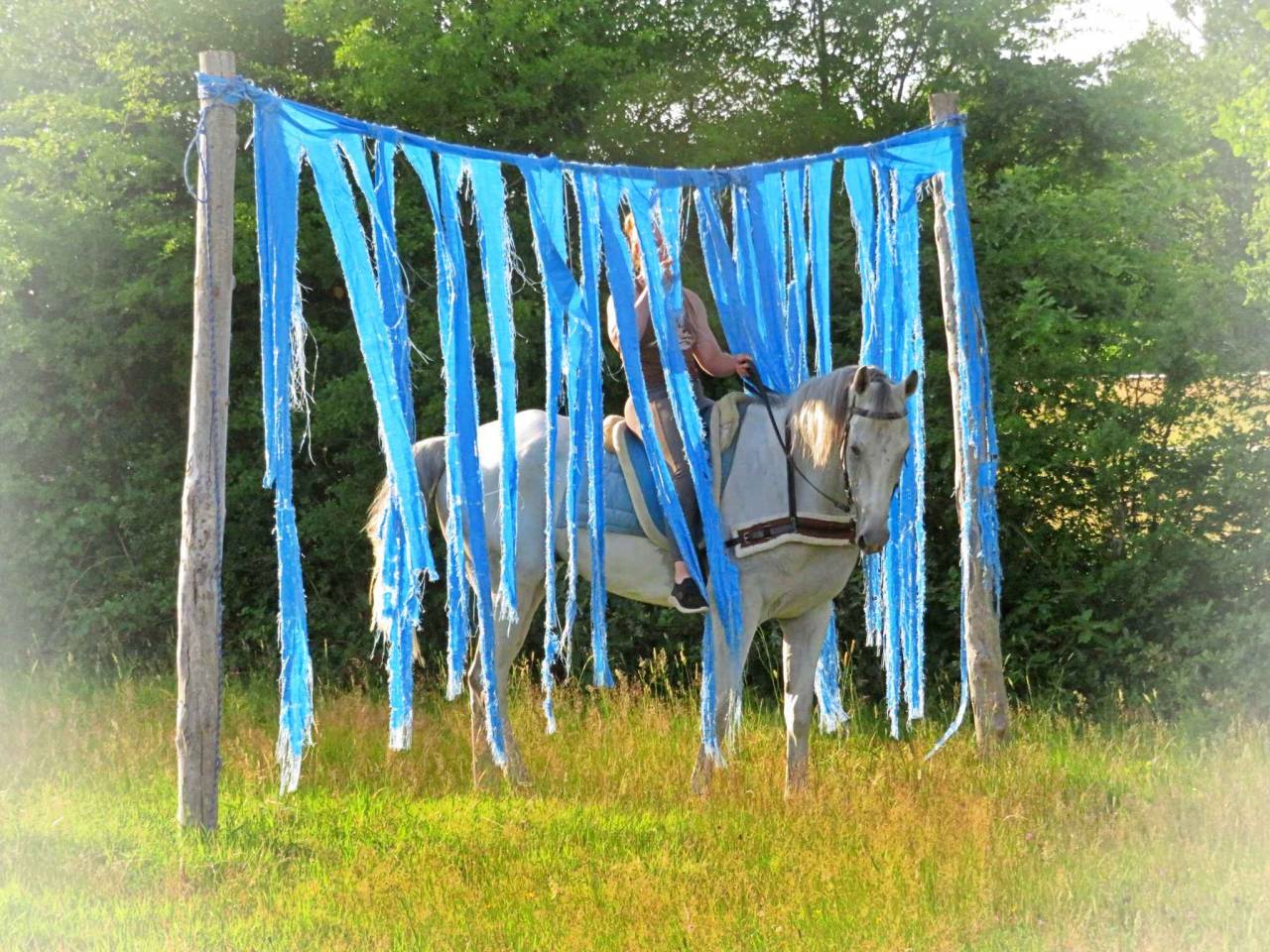 La m&eacute;thode &eacute;quine Imp&eacute;riale vous pr&eacute;sente les chevaux..